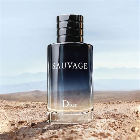 campioncino sauvage dior|dior sauvage perfume.